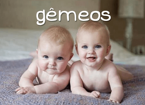 gemeos