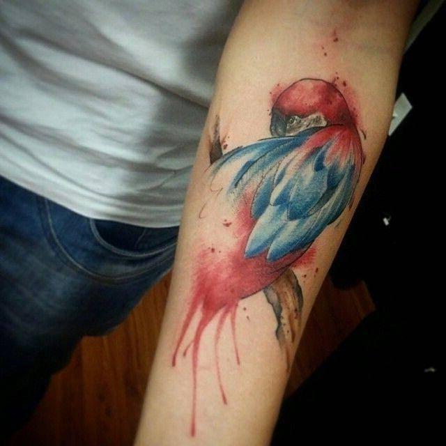 Tatuagem de ave estilo aquarela feita no braço